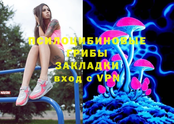 бошки Алексин