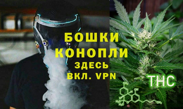 бошки Алексин